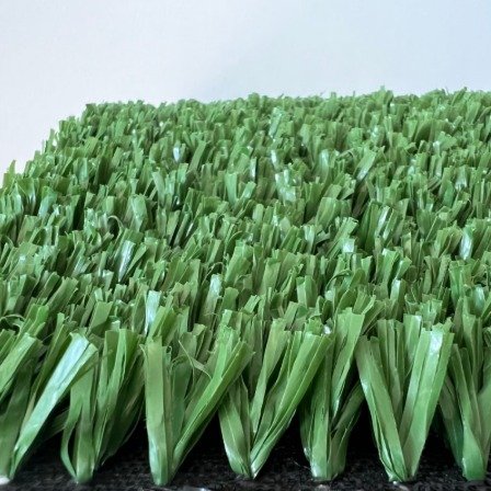 1 HOCKEY GRASS FIBRILLATED - Image 1