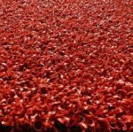 PADEL/TENNIS PUTTING GREEN GRASS