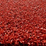 PADEL/TENNIS PUTTING GREEN GRASS