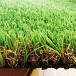 LANDSCAPING GRASS - Image 2