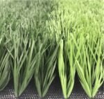 SPORT GRASS - Image 2