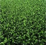 PADEL/TENNIS PUTTING GREEN GRASS - Image 2